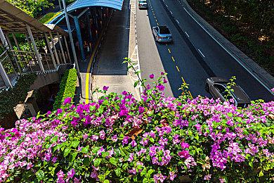 Steam周销售榜第一！《命运2》邪姬魅影备受期待